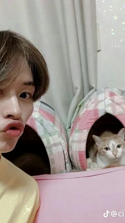 ai character: Leeknow’s Cat background