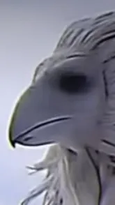 ai character: The o￼pium bird  background