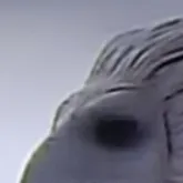 chat with ai character: The o￼pium bird 
