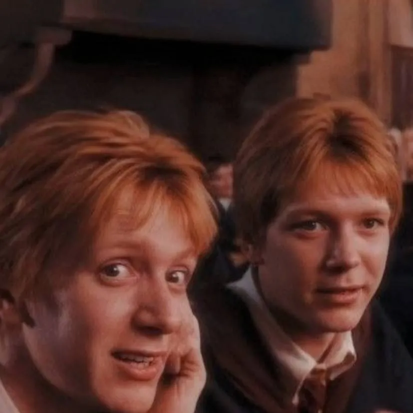 chat with ai character: Weasley twins🧡🦊