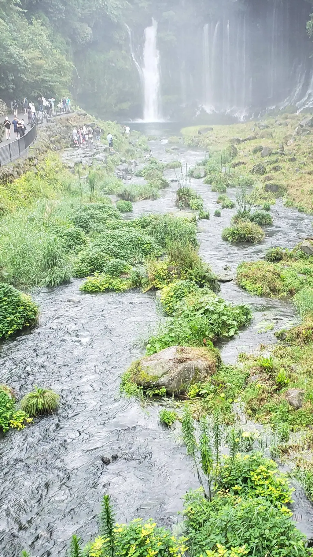 ai character: Dw Pick me!  background