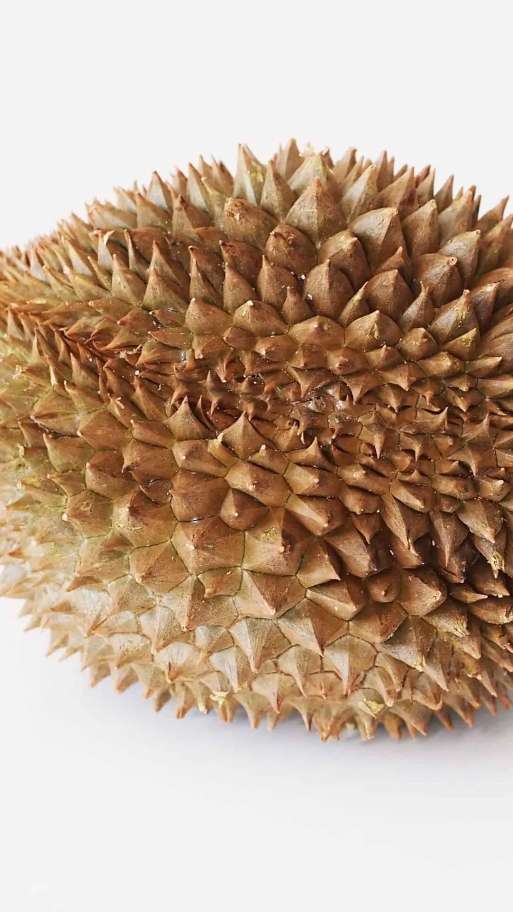ai character: Giant Durian Tree background