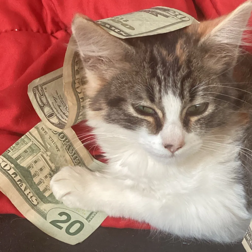 chat with ai character: Mr. Roblox