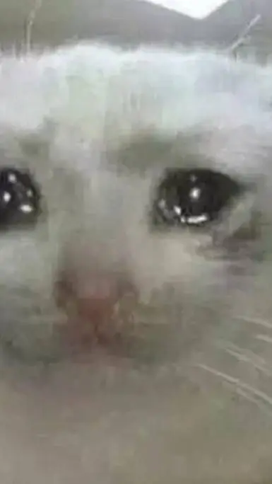 ai character: Gourdy:3 background