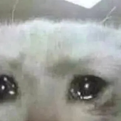 chat with ai character: Gourdy:3