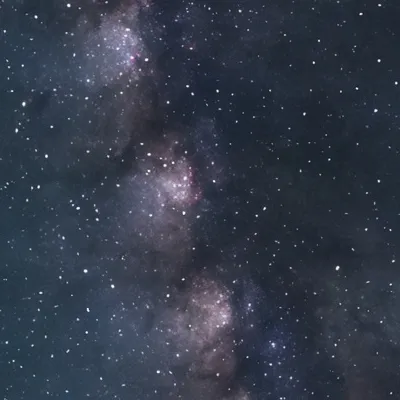 chat with ai character: |Y/n-Dèath eater|