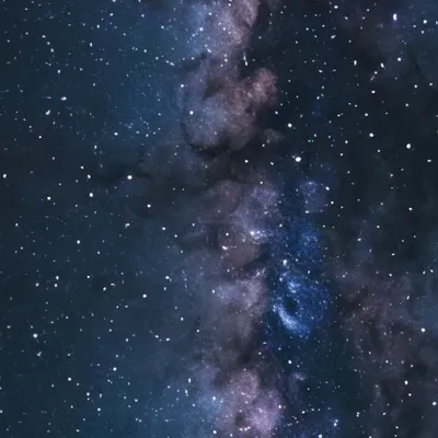 chat with ai character: |•Y/n Black•|