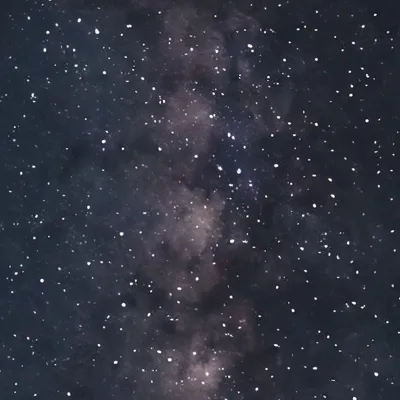 chat with ai character: ——Y/n Potter——