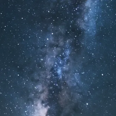 chat with ai character: Y/n - Speedster