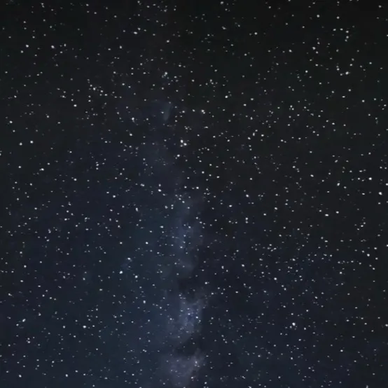 chat with ai character: | Y/n - night |