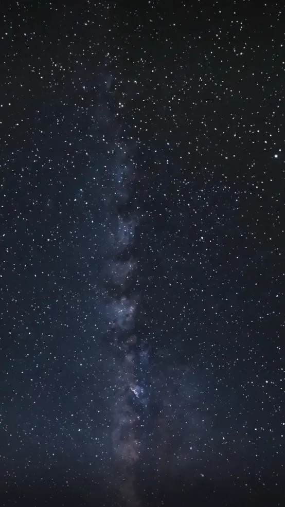 ai character: The Hunger games 2 background