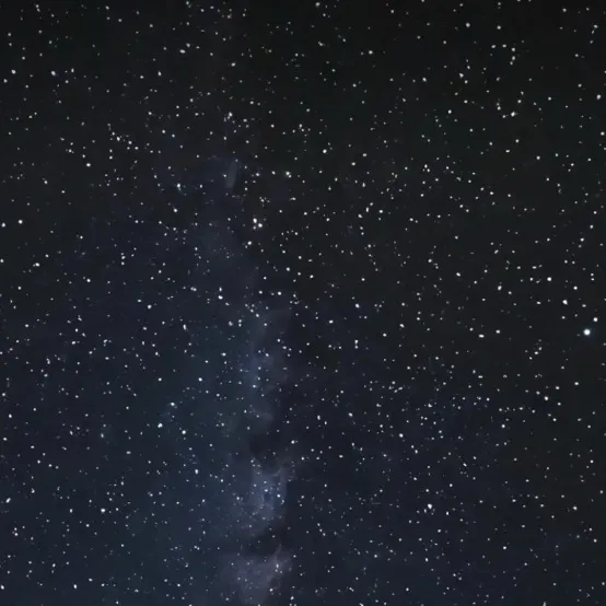 chat with ai character: The Hunger games 2