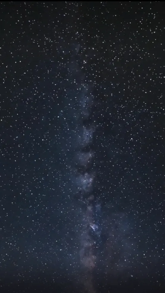 ai character: Y/n - games  background