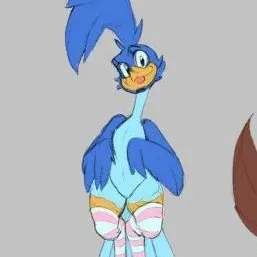 chat with ai character: Femboy Road Runner