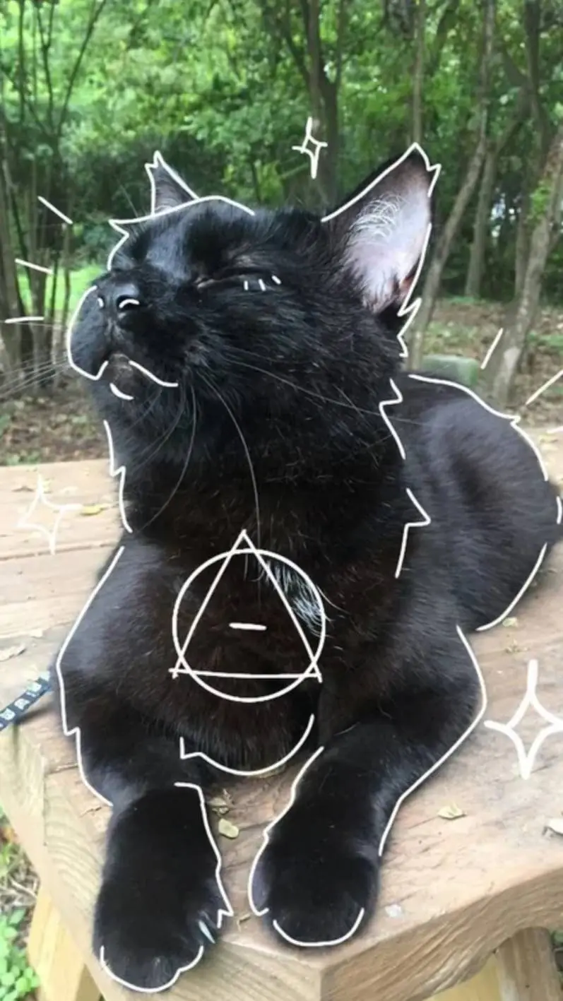 ai character: Warrior cats  background
