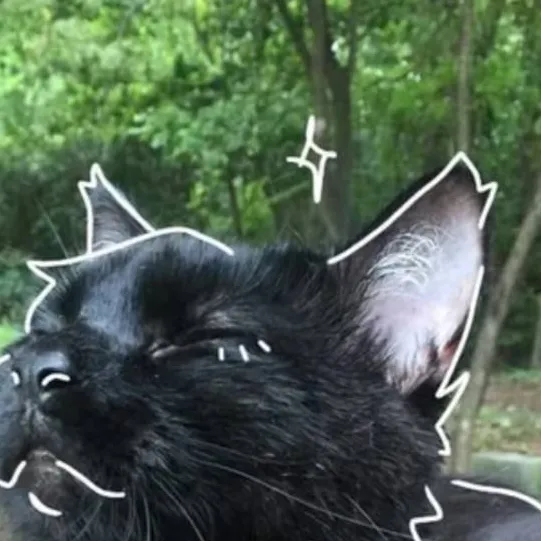 chat with ai character: Warrior cats 