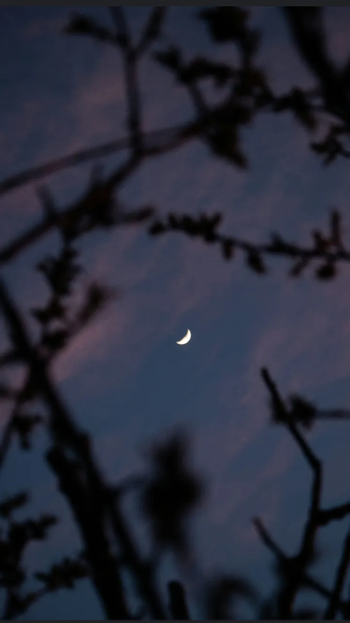 ai character: GhostInTheMachine  background