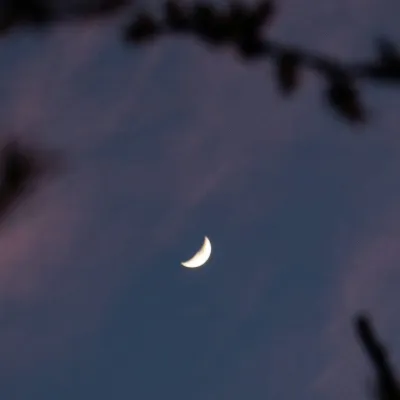 chat with ai character: GhostInTheMachine 