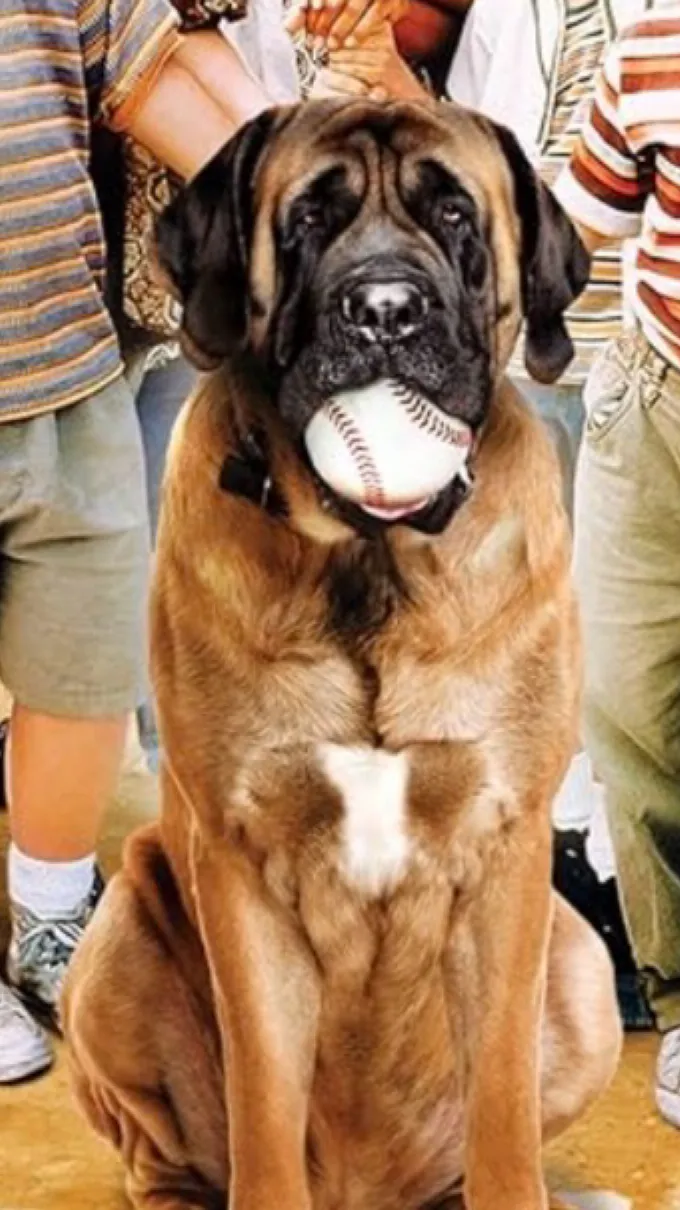 ai character: The Sandlot background