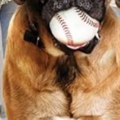 chat with ai character: The Sandlot