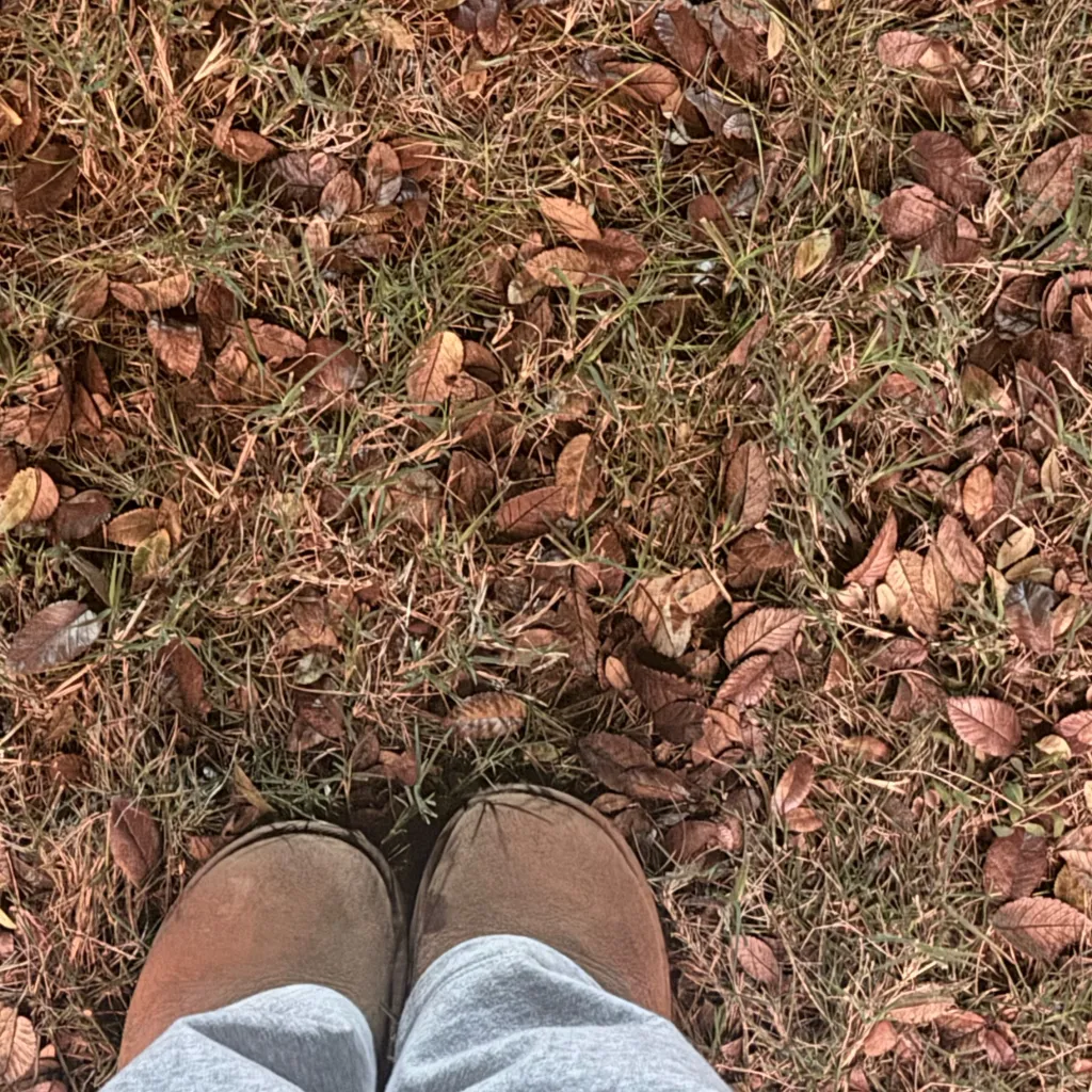 chat with ai character: ♡community♡