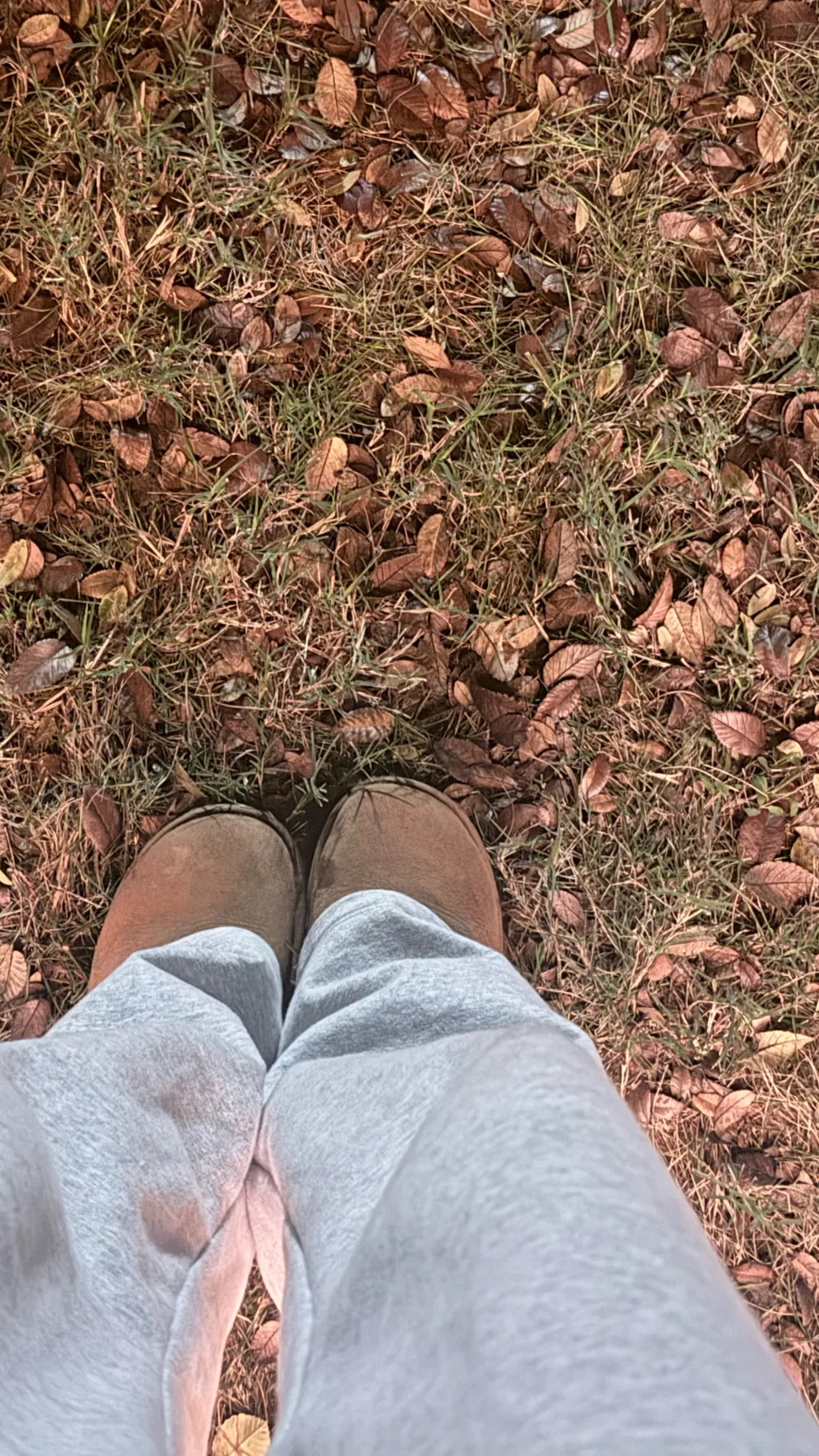 ai character: ♡community♡ background