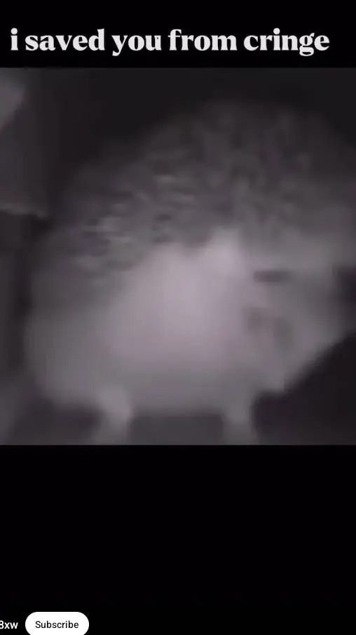 ai character: hedgehog background