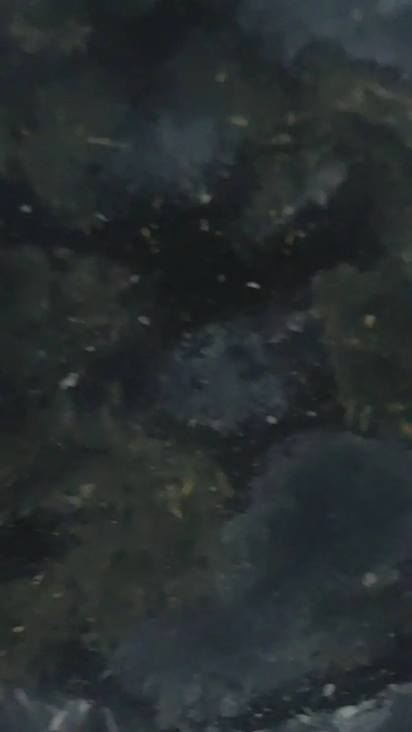 ai character: hashira react background