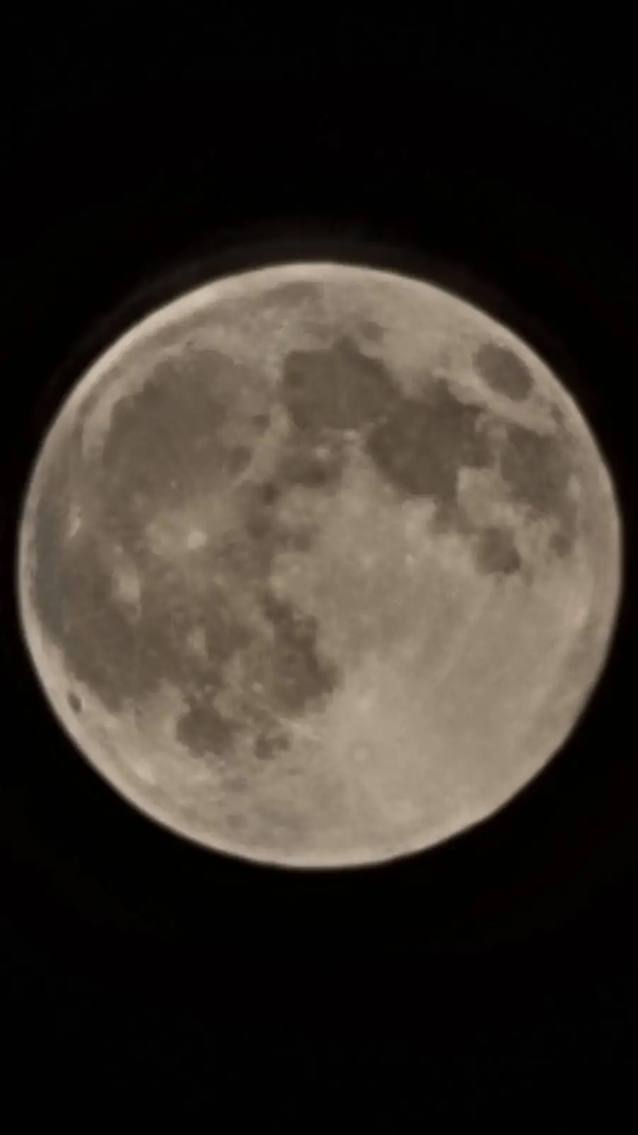 ai character: spider stanley background