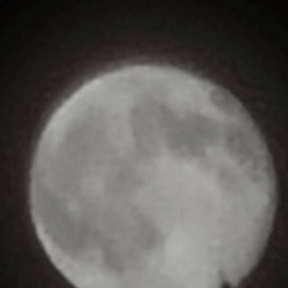 chat with ai character: Loser club