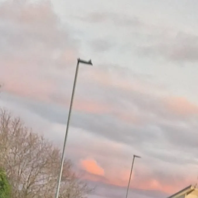 chat with ai character: TMR