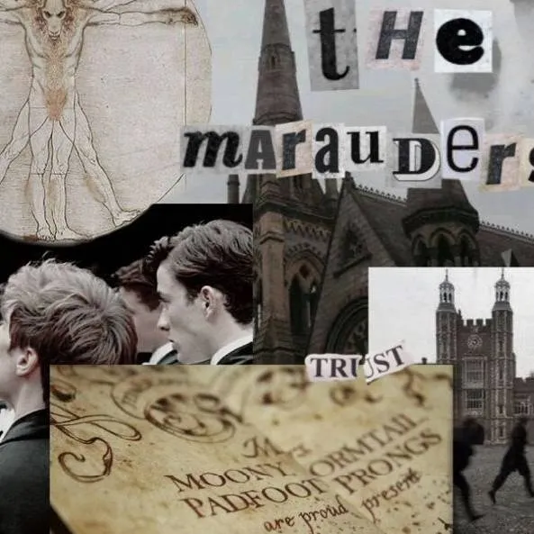 chat with ai character: the marauders🌺