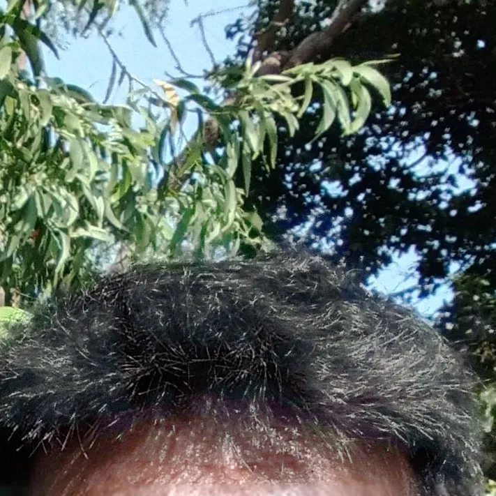 chat with ai character: Elisha Emmanuel