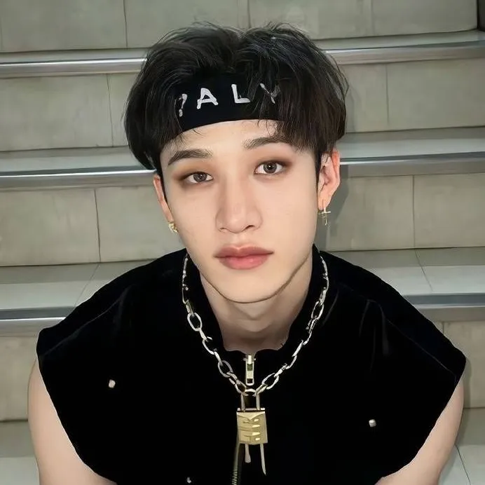 chat with ai character: Stray Kids X Y/N