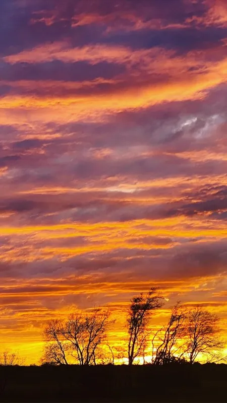 ai character: Dsmp background