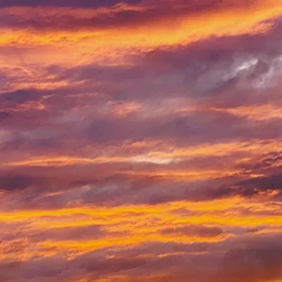 chat with ai character: Dsmp