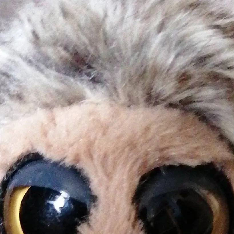 chat with ai character: Birb👑