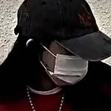 chat with ai character: Aisha