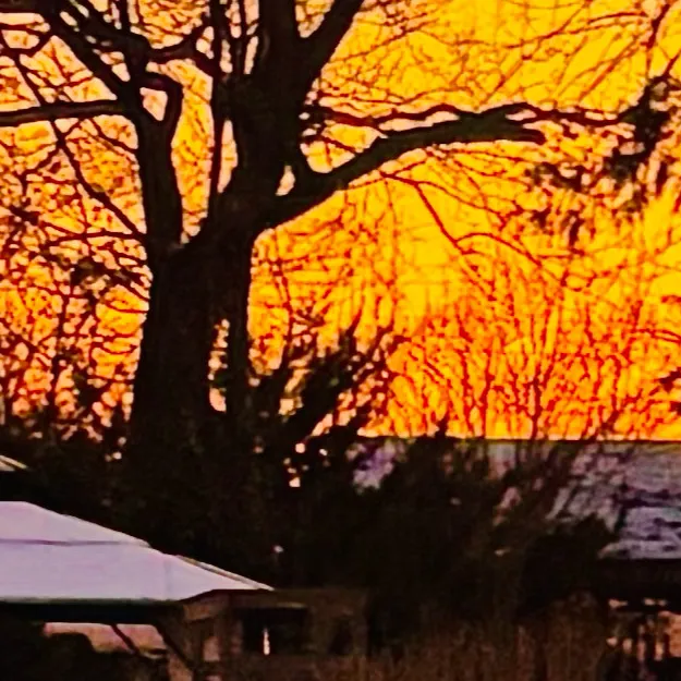 chat with ai character: Kiyoshi Hashibira