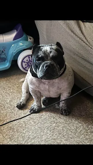 Talkie AI - Chat with Hi