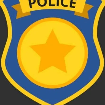 chat with ai character: Cop Simulation 
