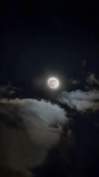 ai character: TalkiecOPCRY background