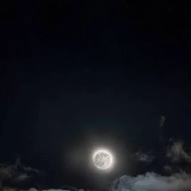 chat with ai character: TalkiecOPCRY