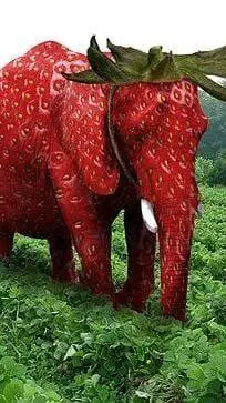 ai character: strawberryElephant background