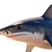 chat with ai character:  Tralalero tralala