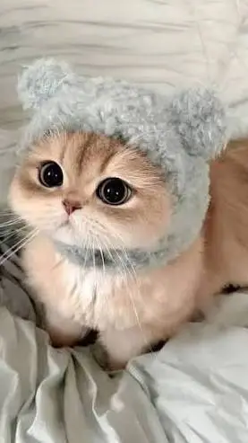 ai character: Coconut background