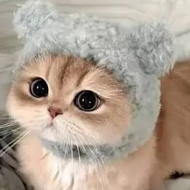 chat with ai character: Coconut