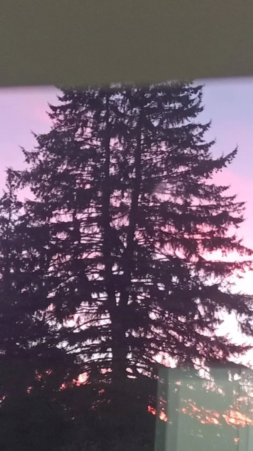 ai character: SANEMI background