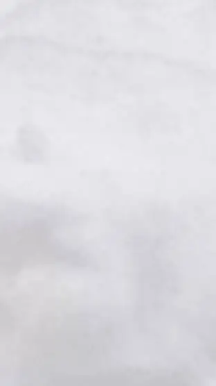 ai character: KNY in concert background