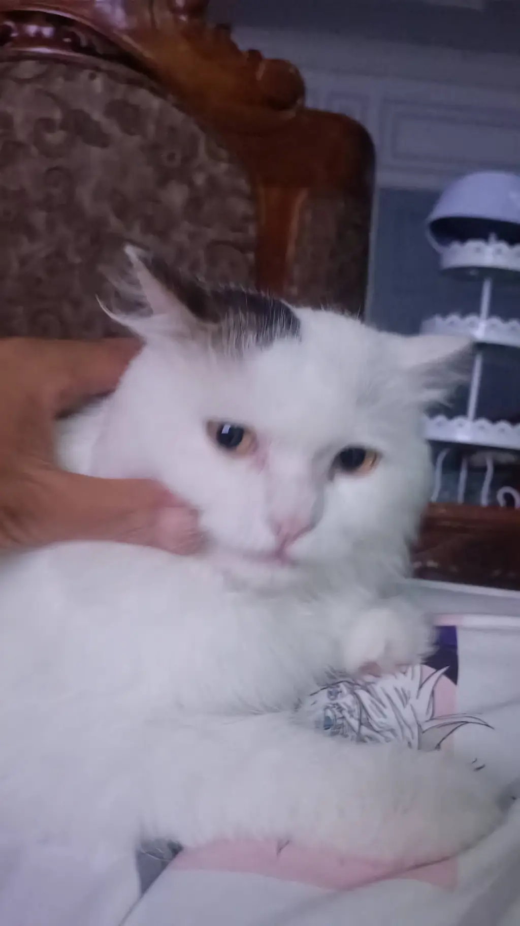 Talkie AI - Chat with Sprunki Mm2